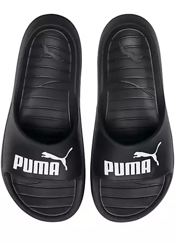 Divecat v2 Sliders by Puma | Look Again