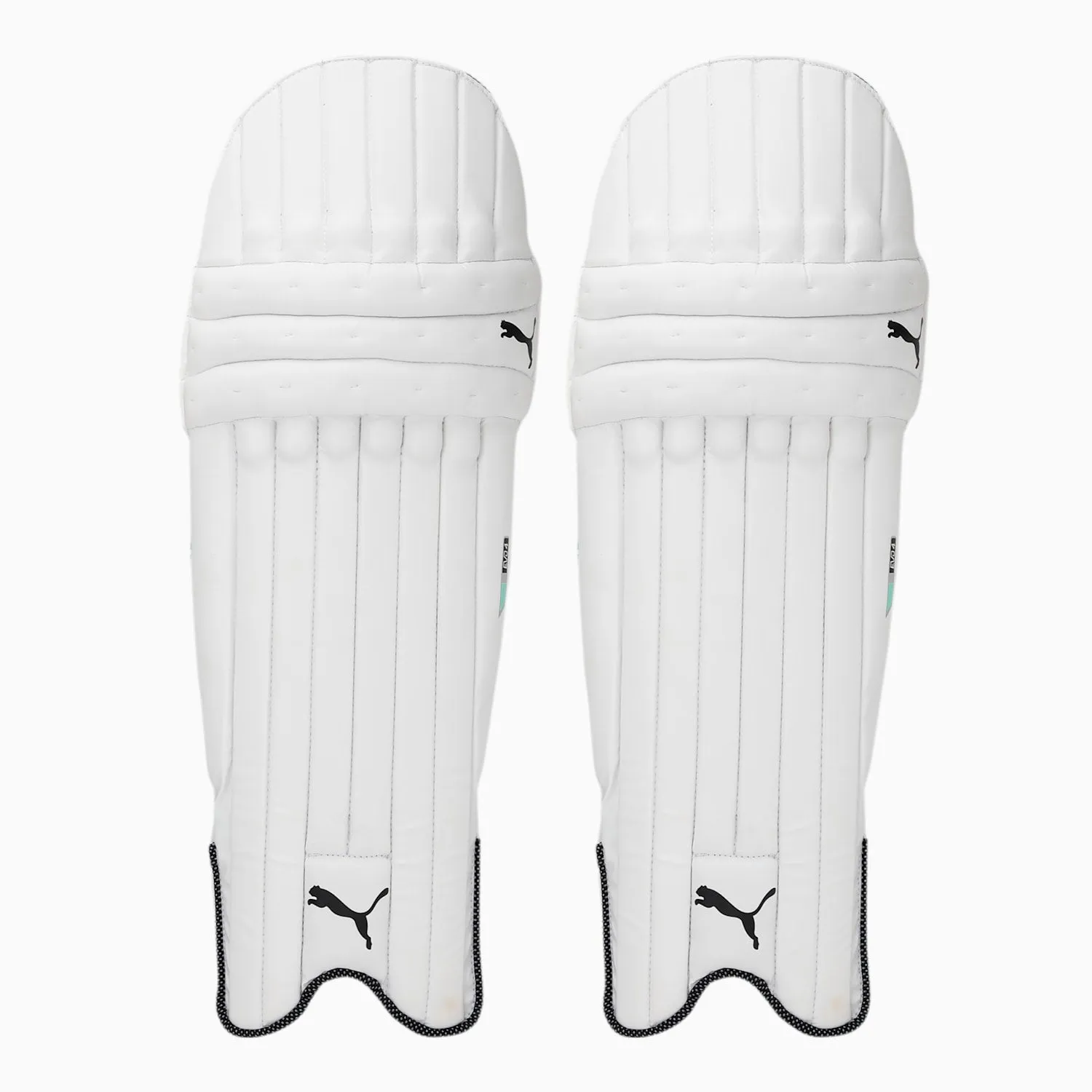 PUMA EVO 4 BATTING PAD