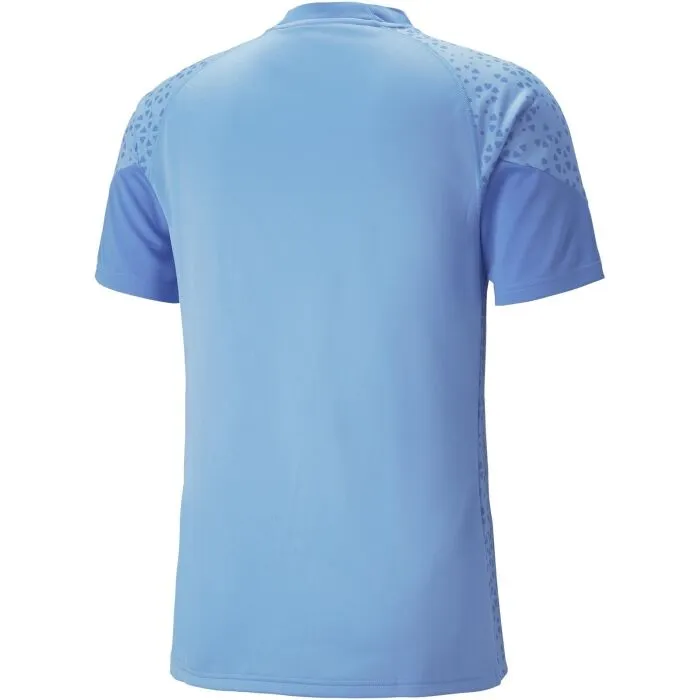 Puma TEAMCUP TRAINING JERSEY