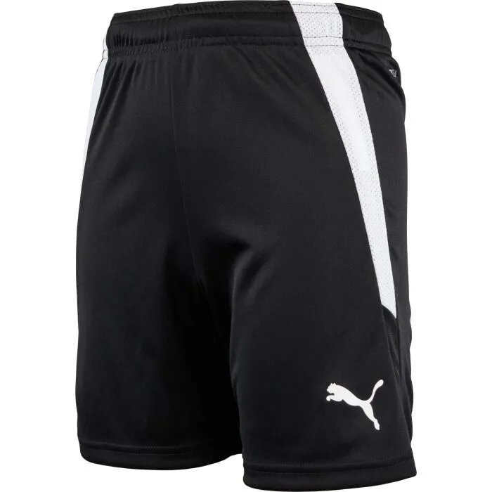 Puma TEAMLIGA SHORTS JR