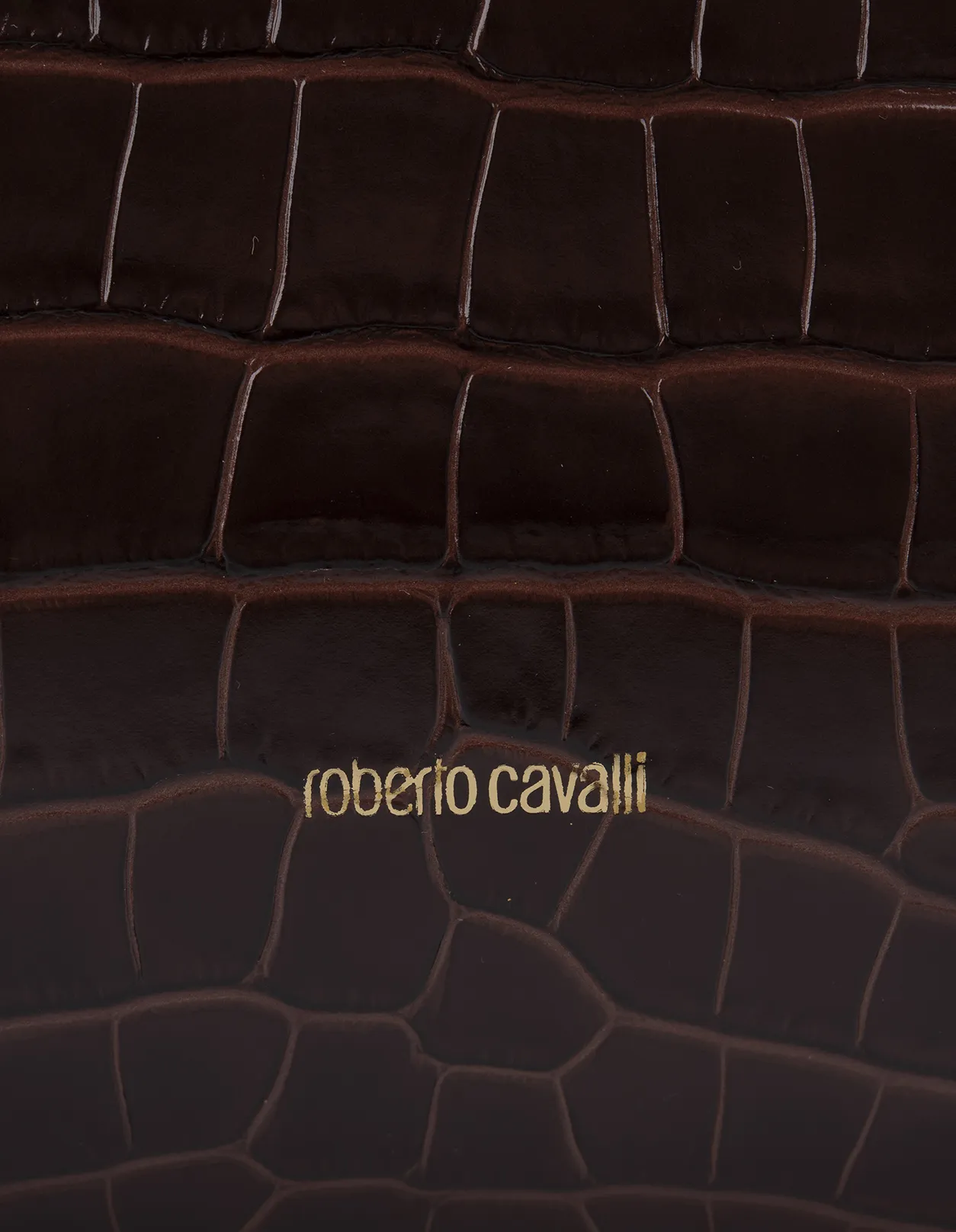 ROBERTO CAVALLI Roar Shoulder Bag In Brown Leather